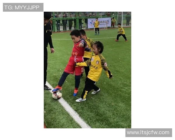 《传球与梦想 足球传奇球星背后的故事与人生》