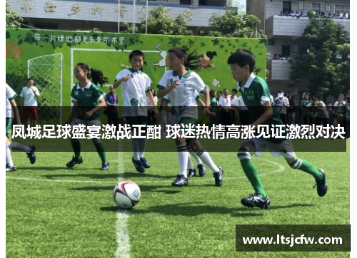 凤城足球盛宴激战正酣 球迷热情高涨见证激烈对决